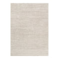 Dorado Minimalist Tonal Beige Rug