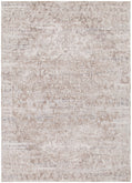 Solenne Beige & Blue Distressed Vintage Rug - S100